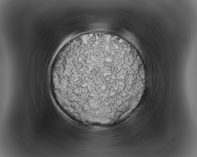 X0000084581483200703231832