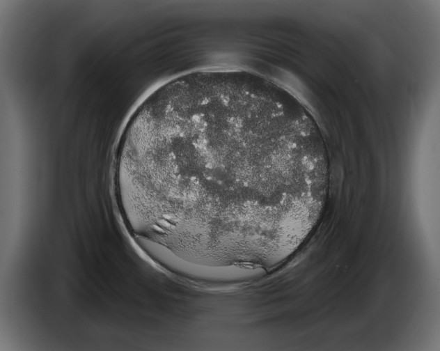 X0000084581484200703231832