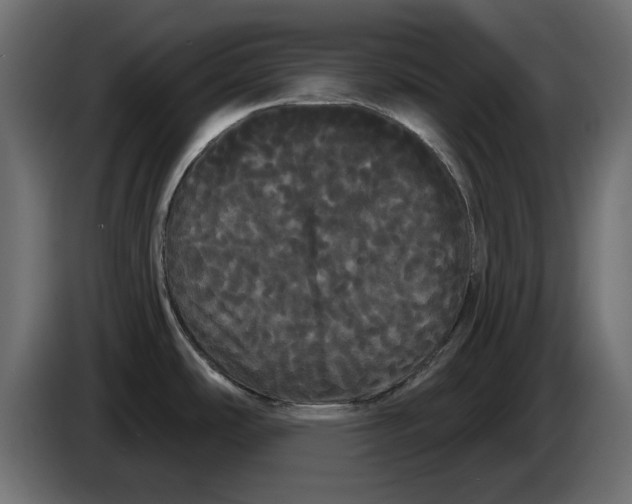 X0000084581486200703231832