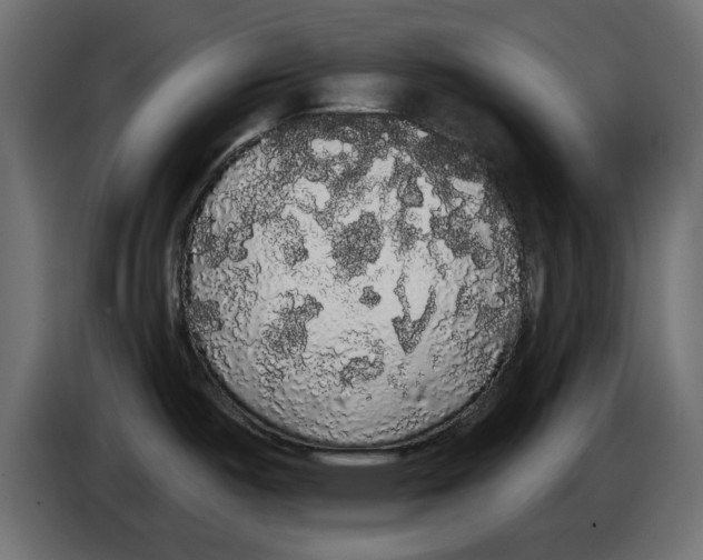 X0000084581487200703231832