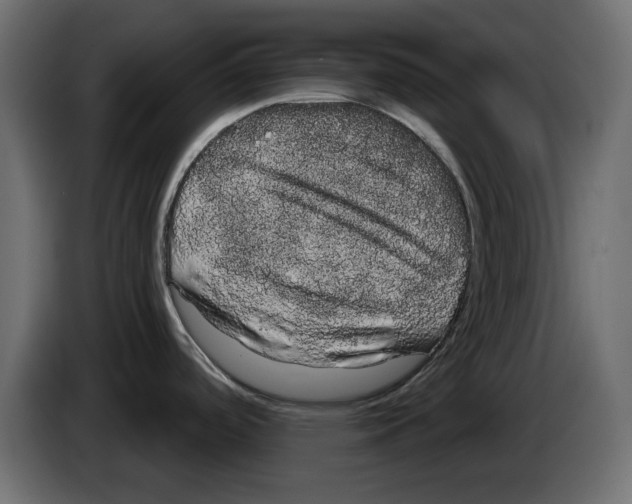 X0000084581488200703231832