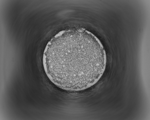 X0000084581489200703231831