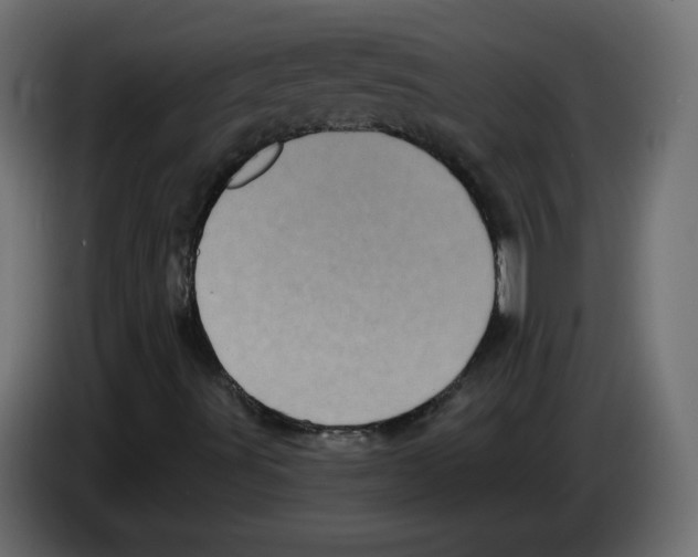 X0000084581491200703231832