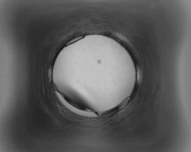 X0000084581492200703231832