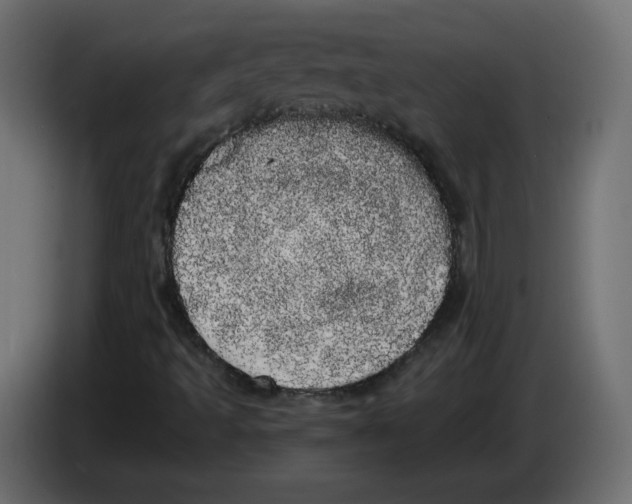 X0000084581493200703231832