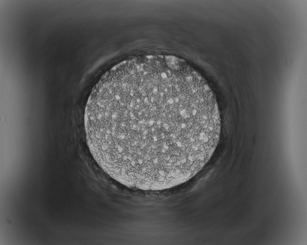X0000084581494200703231832