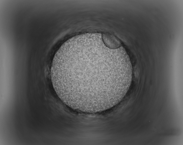 X0000084581495200703231832