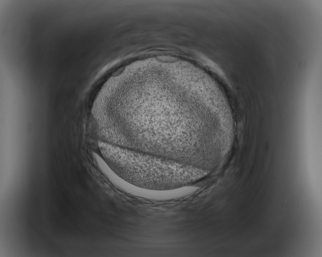 X0000084581496200703231832
