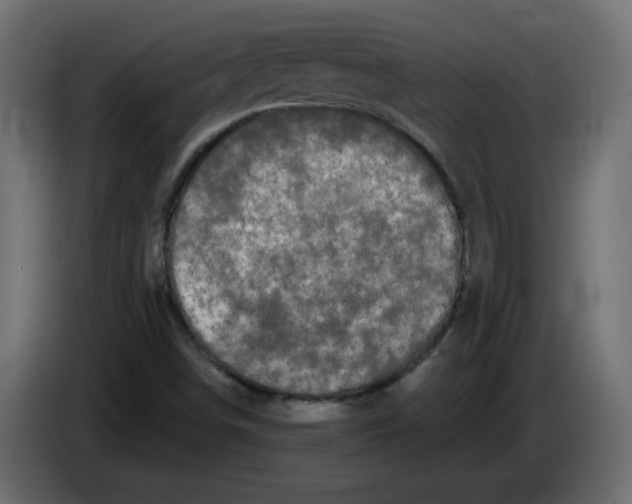 X0000084581498200703231832
