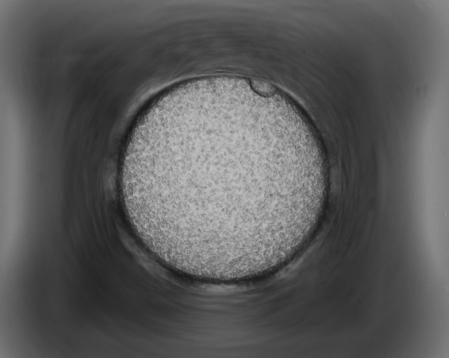 X0000084581499200703231832