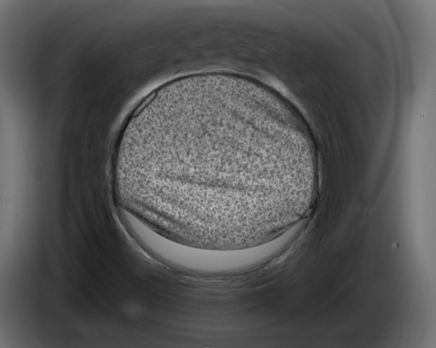 X0000084581500200703231832