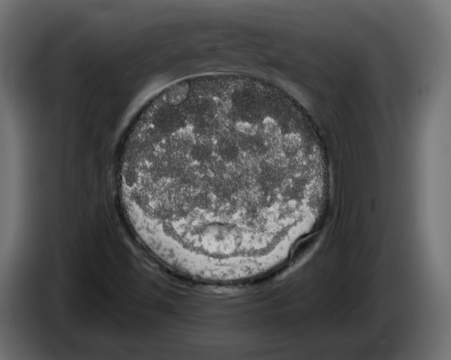 X0000084581501200703231832