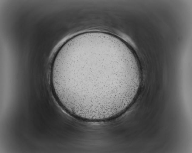 X0000084581504200703231832