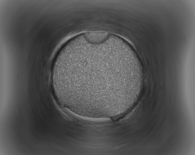 X0000084581507200703231832