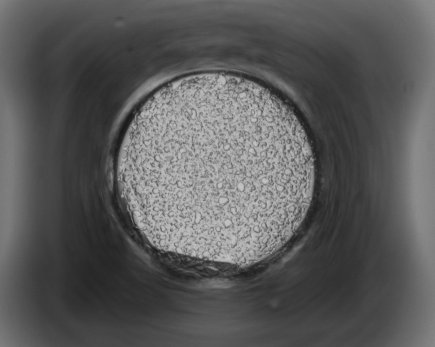 X0000084581509200703231832