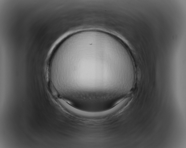 X0000084581510200703231832