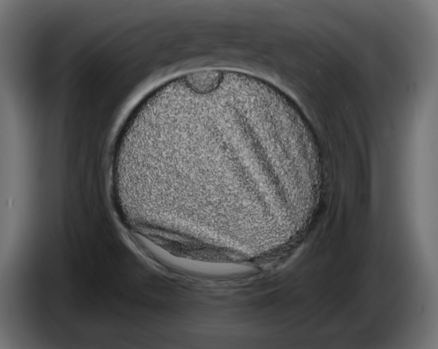 X0000084581511200703231832