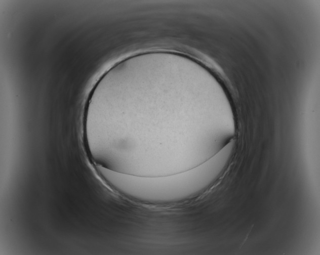 X0000084581512200703231832