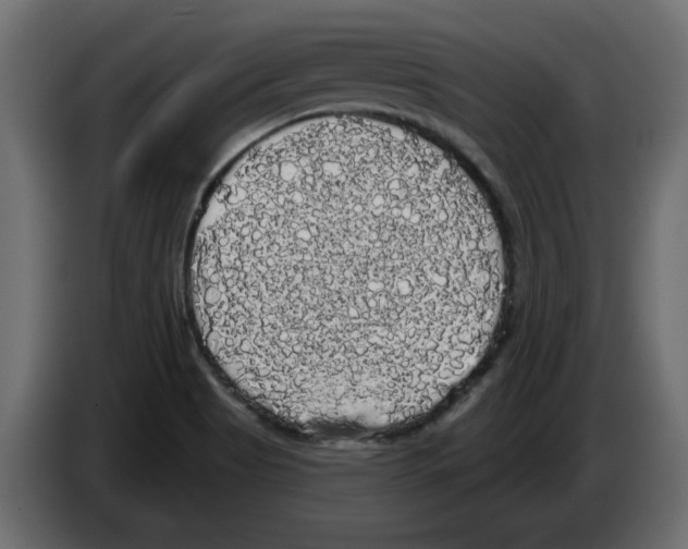X0000084581513200703231832