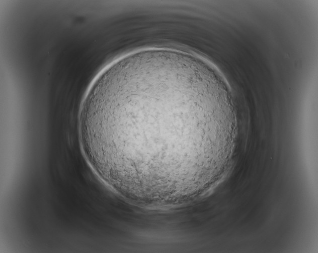 X0000084581514200703231832