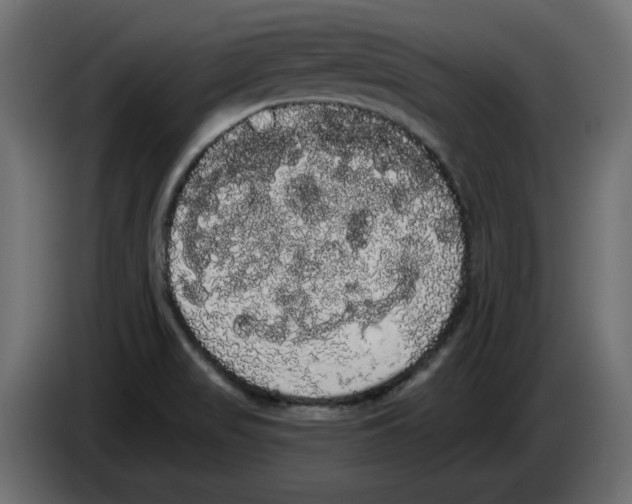 X0000084581517200703231832
