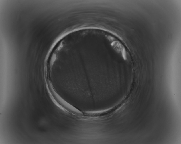 X0000084581519200703231832