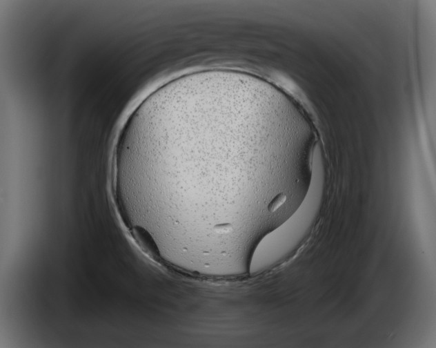 X0000084581520200703231832