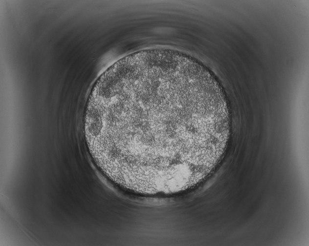 X0000084581521200703231832