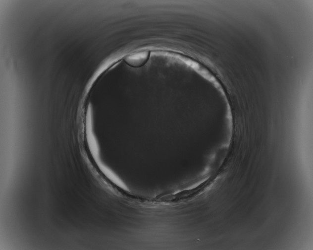 X0000084581522200703231832