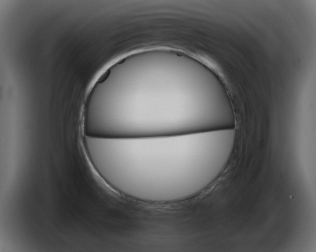 X0000084581524200703231832
