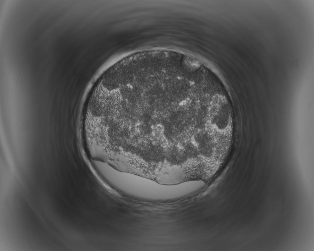 X0000084581525200703231832