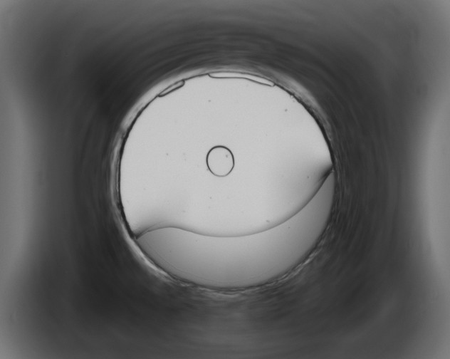 X0000084581528200703231832