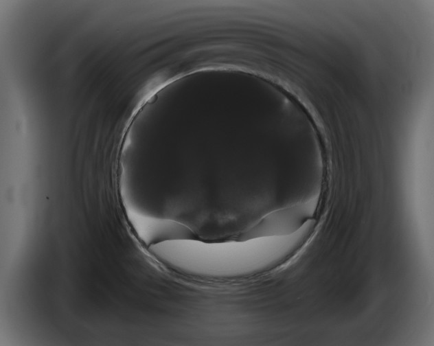 X0000084581529200703231832