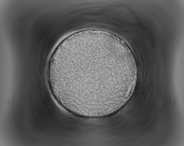 X0000084581531200703231832