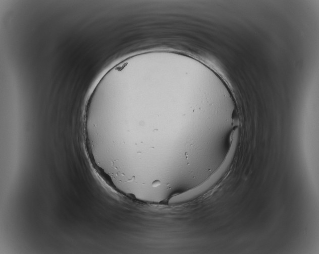 X0000084581532200703231832