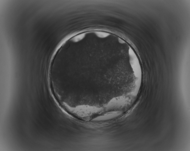 X0000084581533200703231832