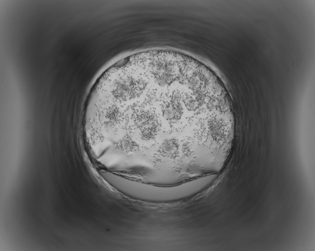 X0000084581534200703231832