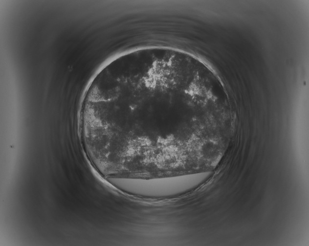 X0000084581535200703231832