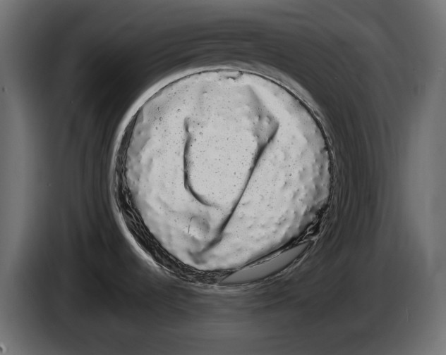 X0000084581536200703231832