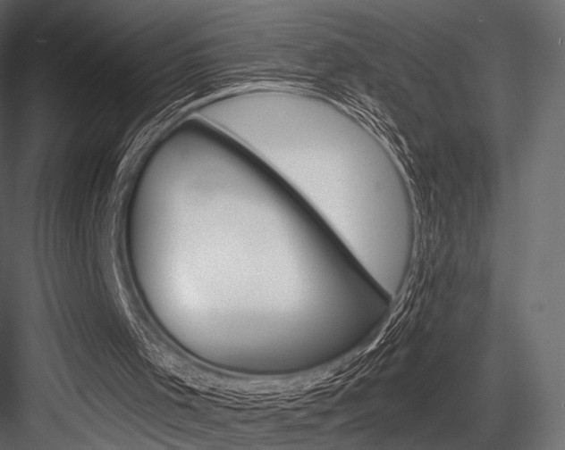 X0000084600001200702231048