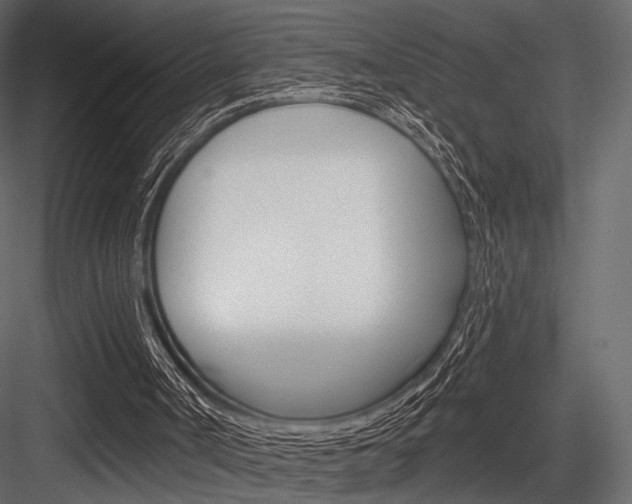 X0000084600002200702231048
