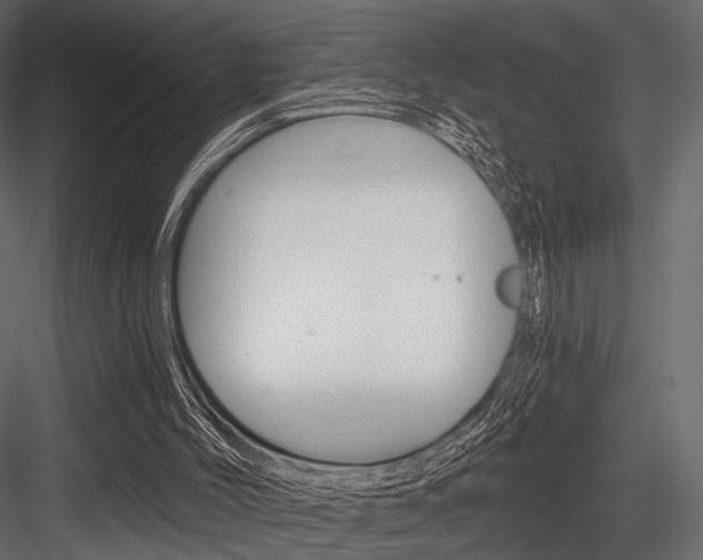 X0000084600004200702231048