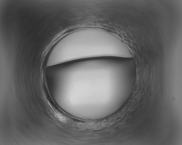 X0000084600005200702231048