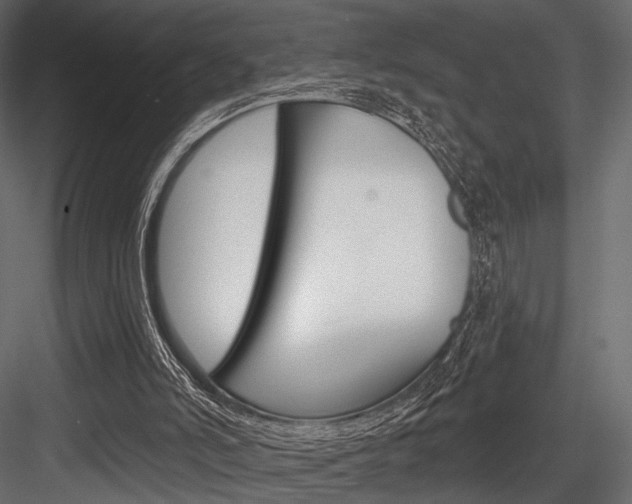 X0000084600006200702231048