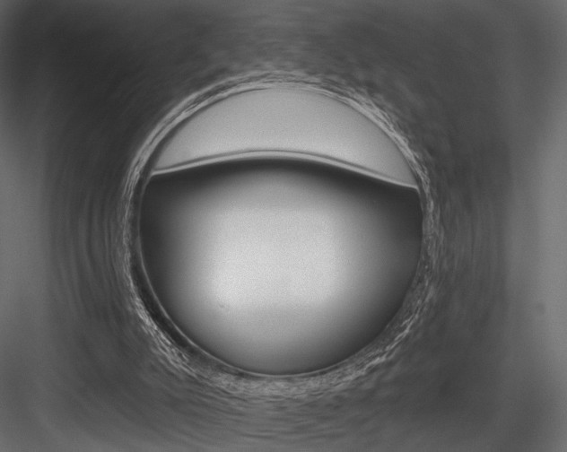 X0000084600007200702231048