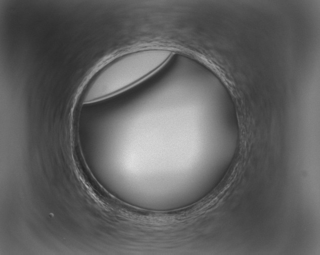X0000084600008200702231048