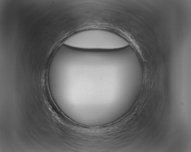 X0000084600010200702231048