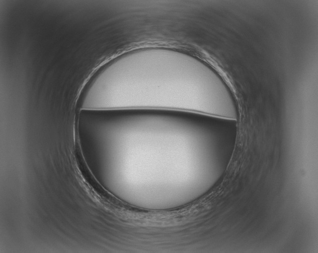 X0000084600011200702231048