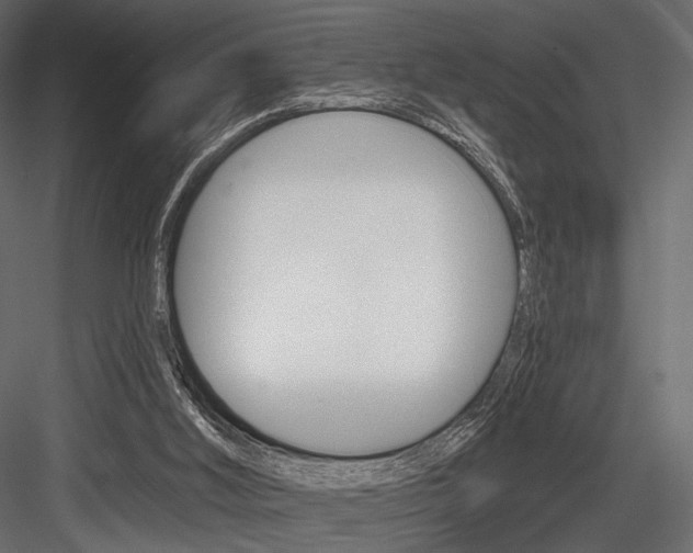X0000084600012200702231048