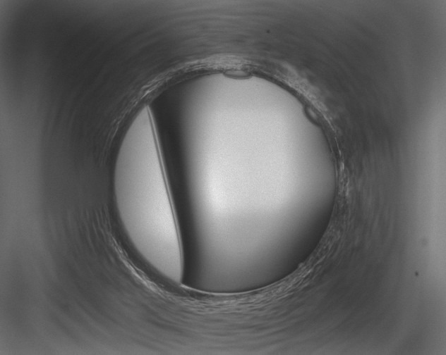 X0000084600013200702231048